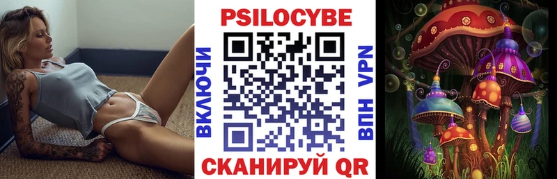 Псилоцибиновые грибы Psilocybe  купить   Краснокамск 